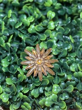 Gold Floral Sunburst Brooch - Elegant Women’s Jewelry